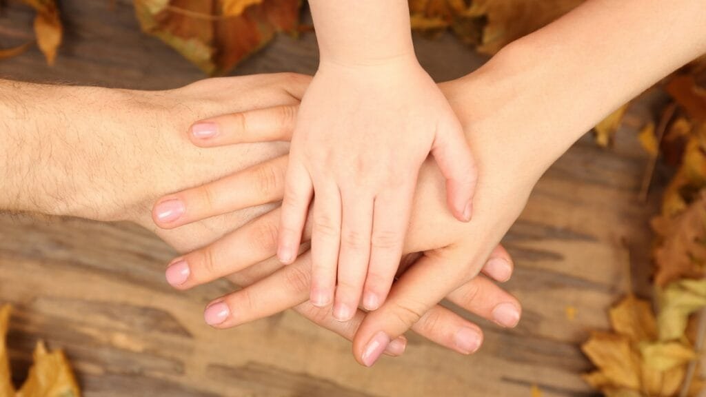 mediación familiar en España